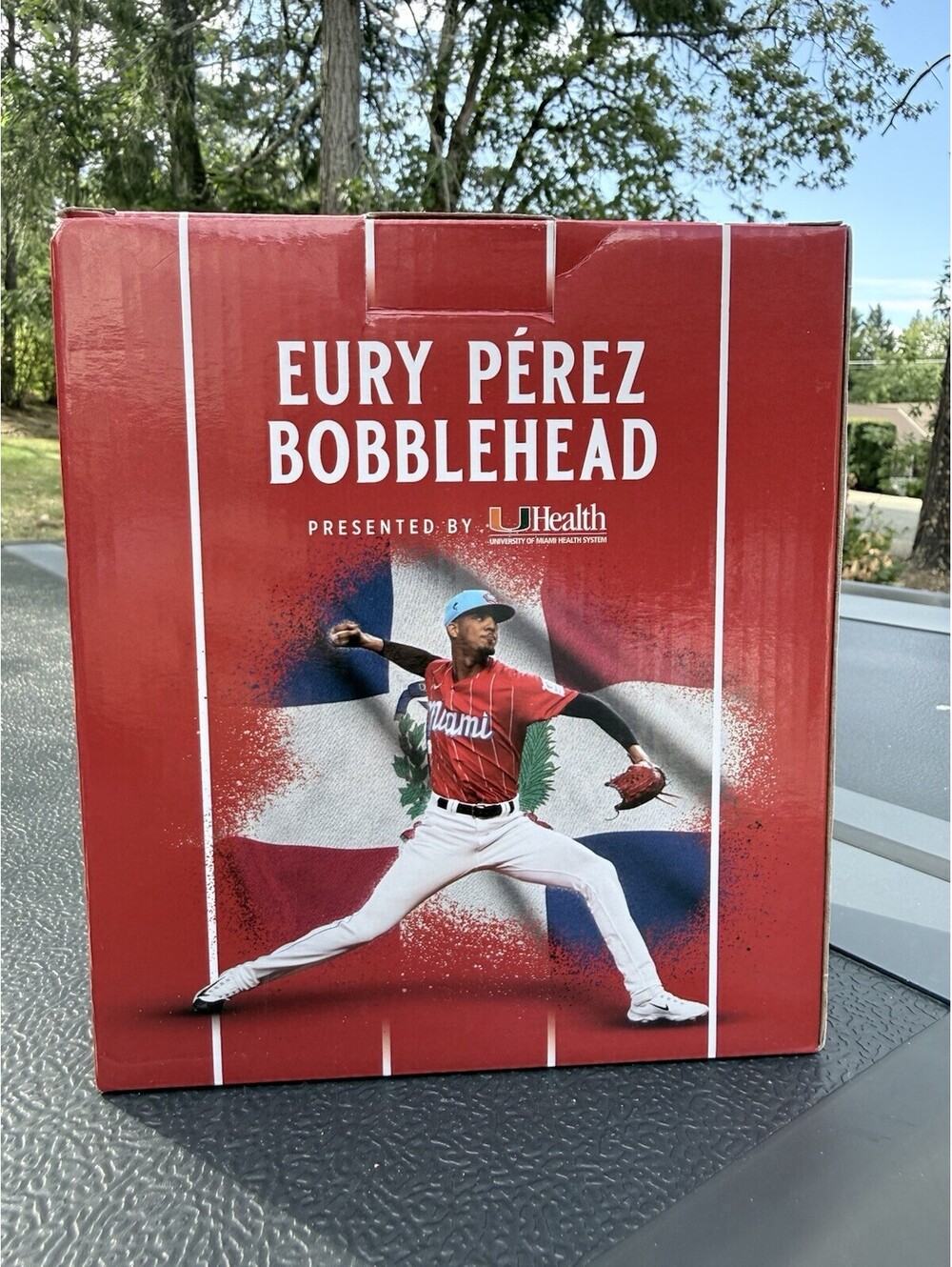 Eury Perez Miami Marlins SGA Bobblehead 06/02/24 Limited Edition 8000 MLB NIB